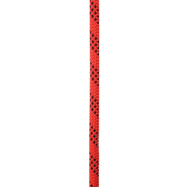 エーデルワイス EDELWEISS プロライン 直径11mm 長さ50m レッド CSTPN11-RD