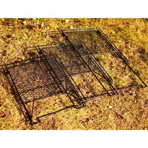 Nature Tones センターサークル 自然大好き！ニッチ・リッチ・キャッチ ネイチャートーンズ Nature