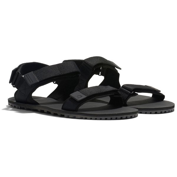 ゼロシューズ Xero Shoes メンズ D-トレイル ブラック/アスファルト M7 25.0cm DTRM-BKAP