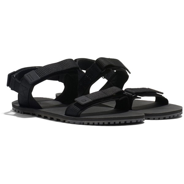 ゼロシューズ Xero Shoes ウィメンズ D-トレイル ブラック/アスファルト W5 22cm DTRW-BKAP 10,822円