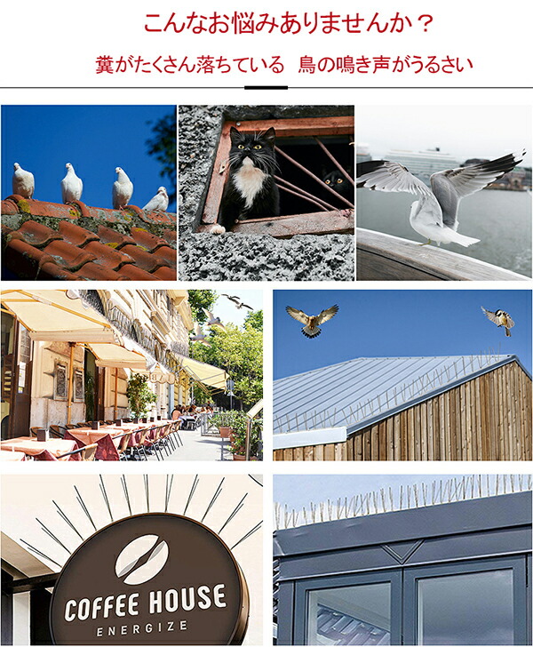 鳩よけ 鳥よけ 鳩 鳥対策 グッズ 鳥よけシート 鳥 撃退 ステンレス 防鳥防獣対策 置物 ベランダ 猫 鳥除け 工場 防鳥 金属ピン ガーデニング 庭 ガーデン 屋外 撃退ハト スズメ カラス ムクドリ ヒヨドリなど撃退 Epheseweb Com 鳩よけ 鳥よけ 鳩 鳥対策 グッズ 鳥よけシート 鳥 撃退 ステンレス 防鳥防獣対策 置物 ベランダ 猫 鳥除け 工場 防鳥 金属ピン ガーデニング 庭 ガーデン 屋外 撃退ハト スズメ カラス ムクドリ ヒヨドリなど撃退 Epheseweb Com
