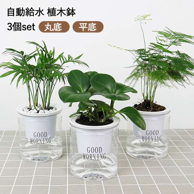 専用　アクアポット4号３号２号７点セット 完売 鉢 水槽 観葉植物 底面給水 楽天市場】植木鉢 プラスチック 4号 3個セット 自動吸水式