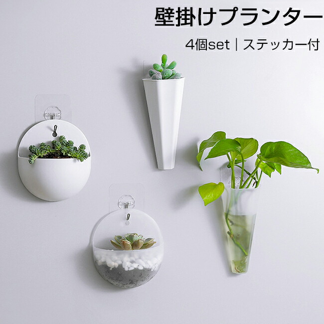 が大特価 壁掛け プランター 4個セット 多肉植物 観葉植物 サボテン 寄せ植え ミニ おしゃれ 可愛い クリア 透明 ホワイト デザイン インテリア雑貨 生活雑貨 小物 日用品 送料無料