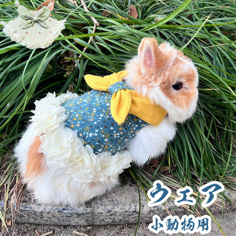 楽天市場】【楽天1位入賞】ウサギ服 子猫 ハーネス リード