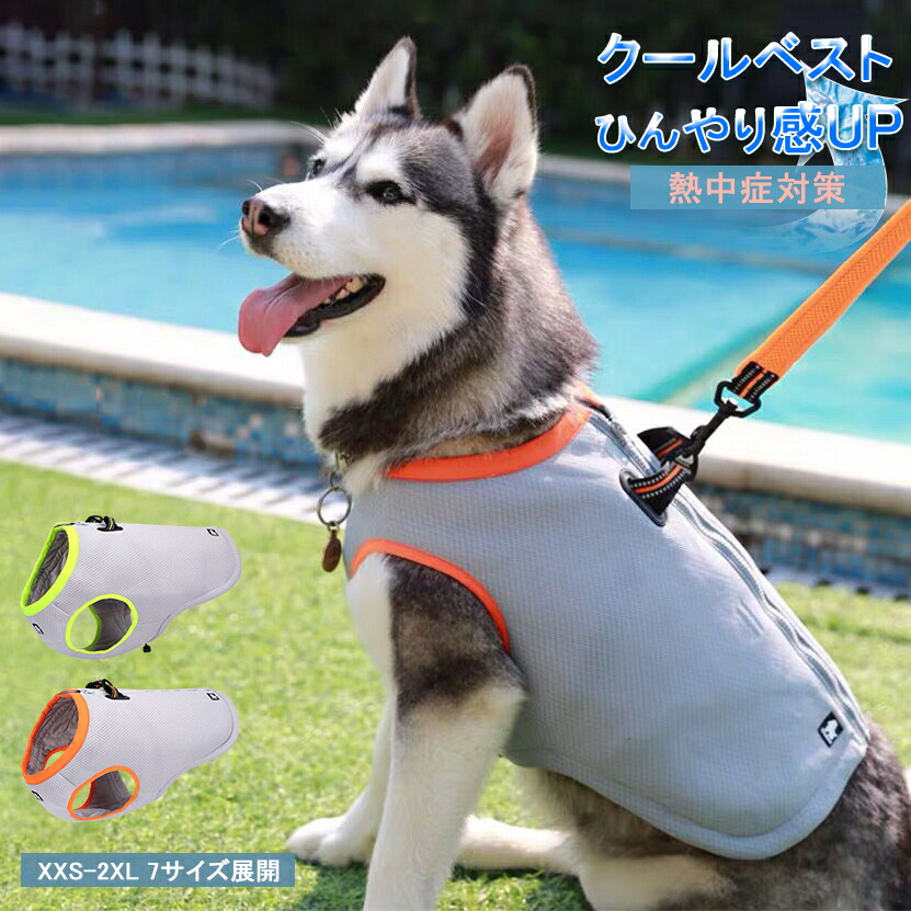 誕生日プレゼント 新品登場 ペット クールベスト 犬用 熱中症対策 ひんやりベスト 冷感犬服 小型犬 中型犬 ひんやり 接触冷感 ペット服 夏 対策 グッズ 着せやすい 犬 服 ペット用品 猫 S ｘxl 夏服 暑さ対策 快適 着脱簡単 通気 汗吸収 Toyama Nozai Co Jp