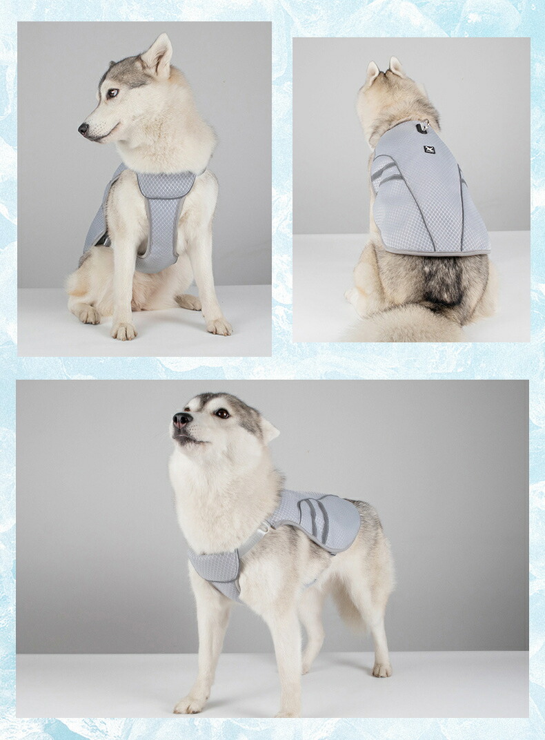 73 以上節約 冷感タオルをプレゼント クールベスト 犬用 S Xl 猫 熱中症対策 ひんやりベスト 冷感犬服 小型犬 中型犬 大型犬ひんやり 反射ライン 接触冷感 ペット服 夏 対策 グッズ 着せやすい 犬 夏服 暑さ対策 快適 着脱簡単 通気 汗吸収 Sferavisia Hr