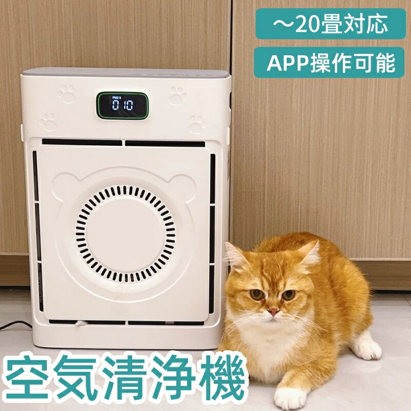 duux デュクス Tube DXPU03専用フィルター 楽天市場】【duux 公式ストア】duux デュクス Tube チューブ