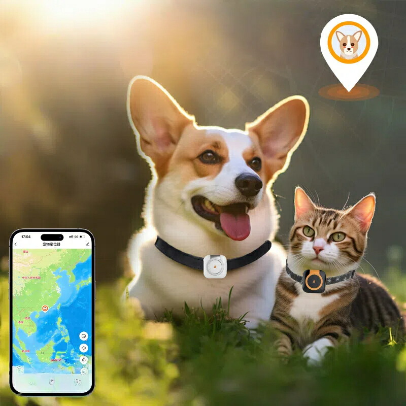 【高正確性】愛玩動物GPS追いかける首飾り 4G LTE相応う リアルタイム空間的関係突きとめると思わしい見守り(活動写真量/御休み) 迷子押しとどめるアラート役立つこと付き添い人 日本全国領域相応う スマホ協同 犬猫用 雨合羽遣りくち