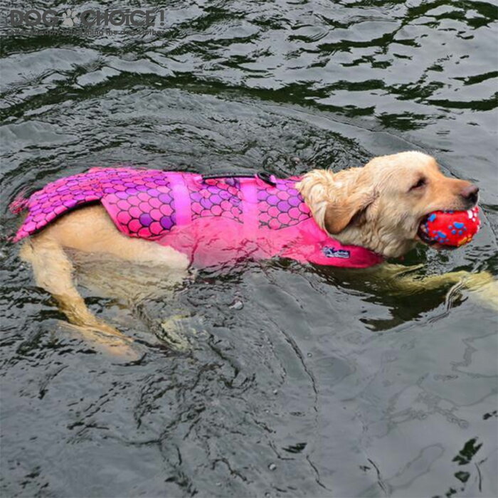 楽天市場 マラソンセール 犬 ライフジャケット 小型犬 安全な泳ぎを補助 救命胴衣 ペットジャケット 犬用ライフジャケット 水泳の練習用品 犬 救急服 ペットライフジャケット 高浮力 反射ライン 犬の安全を守る 水泳救命胴衣 干しやすい しゅんのshop