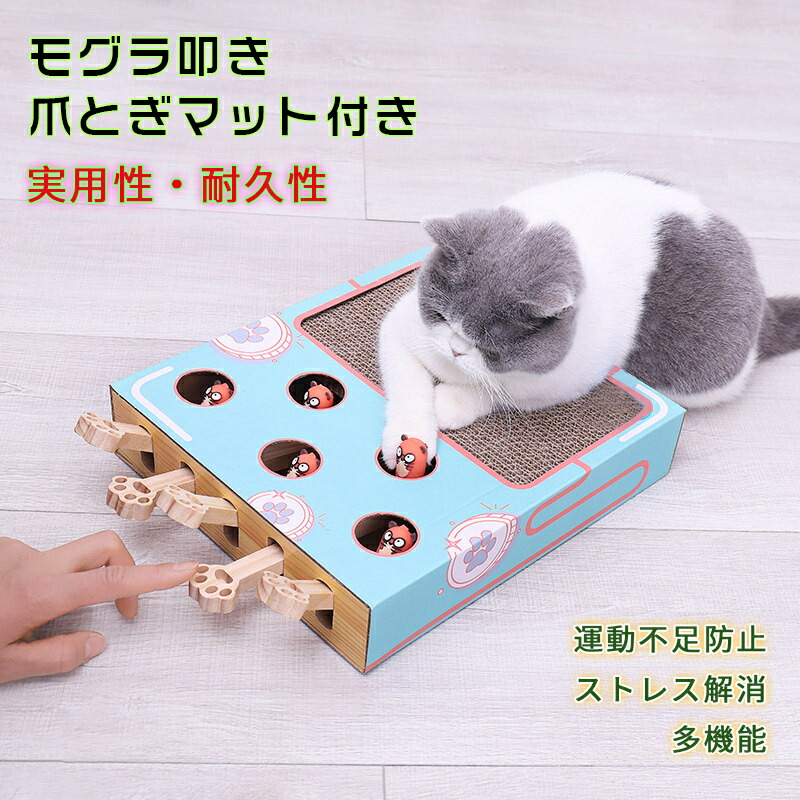 Sale 94 Off 猫 おもちゃ 木製 モグラ叩き もぐら ネズミ 猫じゃらし ねこじゃらし 猫遊び ねこ ネコ 知育 玩具 運動不足 ストレス解消 ダイエット 木箱 Rmladv Com Br