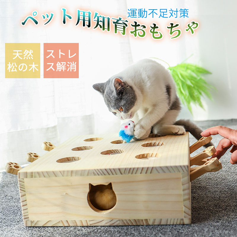 おもちゃをプレゼント同梱 猫 おもちゃ 猫じゃらし 木製 モグラ叩き ネズミ 猫遊び 安全素材 木箱 ねこじゃらし ペット マウス 知育玩具 ペットグッズ 自分で遊ぶ好奇心をくすぐる もぐらたたき 運動不足 ストレス解消 Fitzfishponds Com