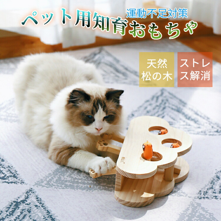 楽天市場 おもちゃをプレゼント同梱 猫 おもちゃ 猫じゃらし 木製 モグラ叩き ネズミ 猫遊び 安全素材 木箱 ねこじゃらし ペット マウス 知育玩具 ペットグッズ 自分で遊ぶ好奇心をくすぐる もぐらたたき 運動不足 ストレス解消 しゅんのshop