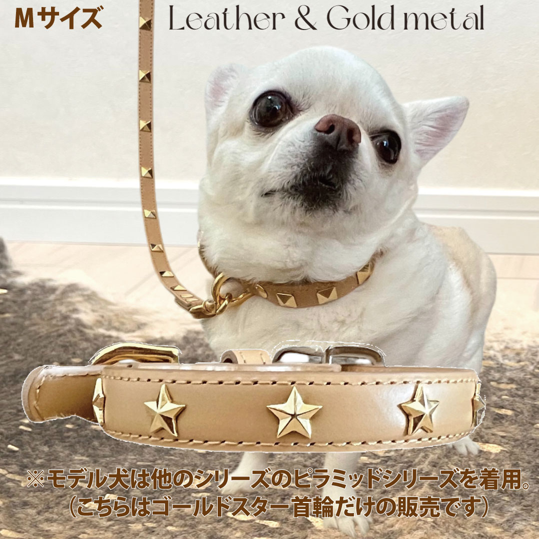 楽天市場】ナチュラルゴールド首輪 Lサイズ TOPWAN 【日本製