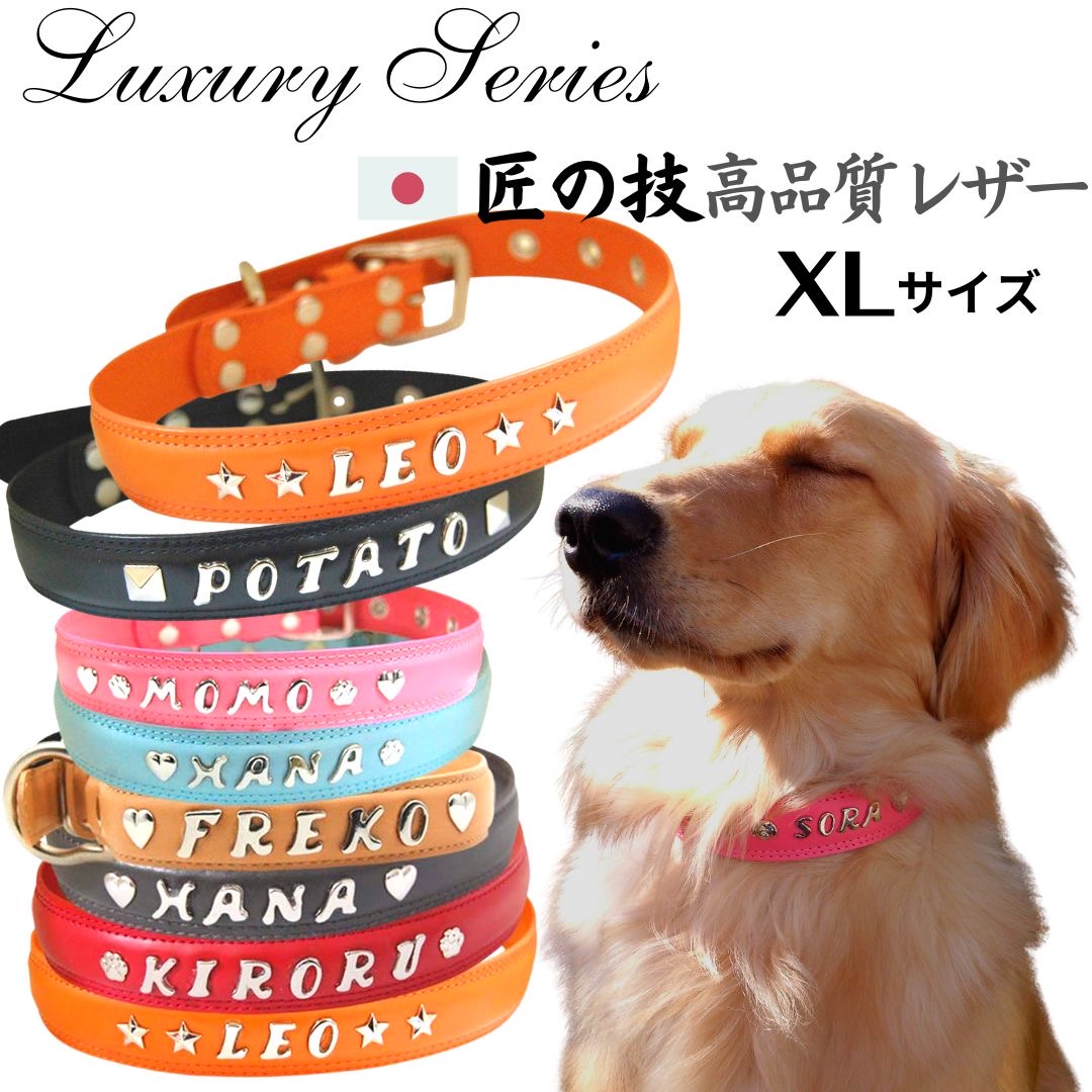 イニシャルスタッズ首輪　XLサイズ 本革 犬 首輪 犬首輪 犬の首輪 高級感 匠の技 名前入り首輪 おしゃれ かわいい オーダーメイド 大型犬 名入れ 名前入り 名前 革 皮 名前刻印 レトリーバー ラブラドール オーダーメイド首輪 TOPWAN 日本製 犬用首輪 プレゼント｜トップワンこだわりの愛犬猫グッズ