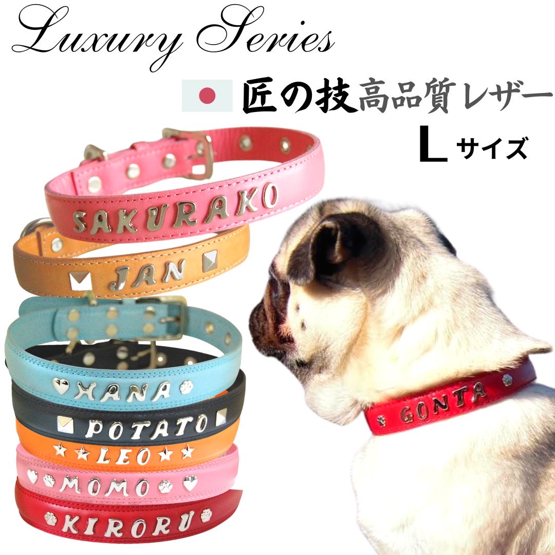 わんお父ちゃん、ねこお父ちゃんが保有者さんの元にすぐに戻れる物ごとを願って