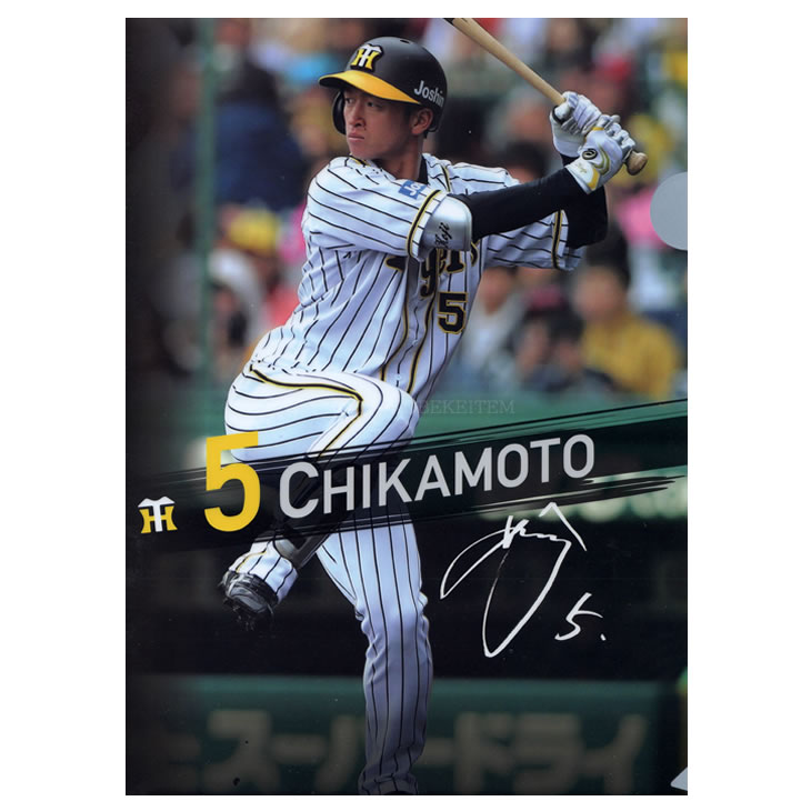 楽天市場 阪神タイガース グッズ 近本 選手クリアファイル 2枚セット 阪神 タイガース 応援 観戦 公式 承認 ファイル 2枚組 Hanshin Tigers ユニック 健康 スポーツグッズ