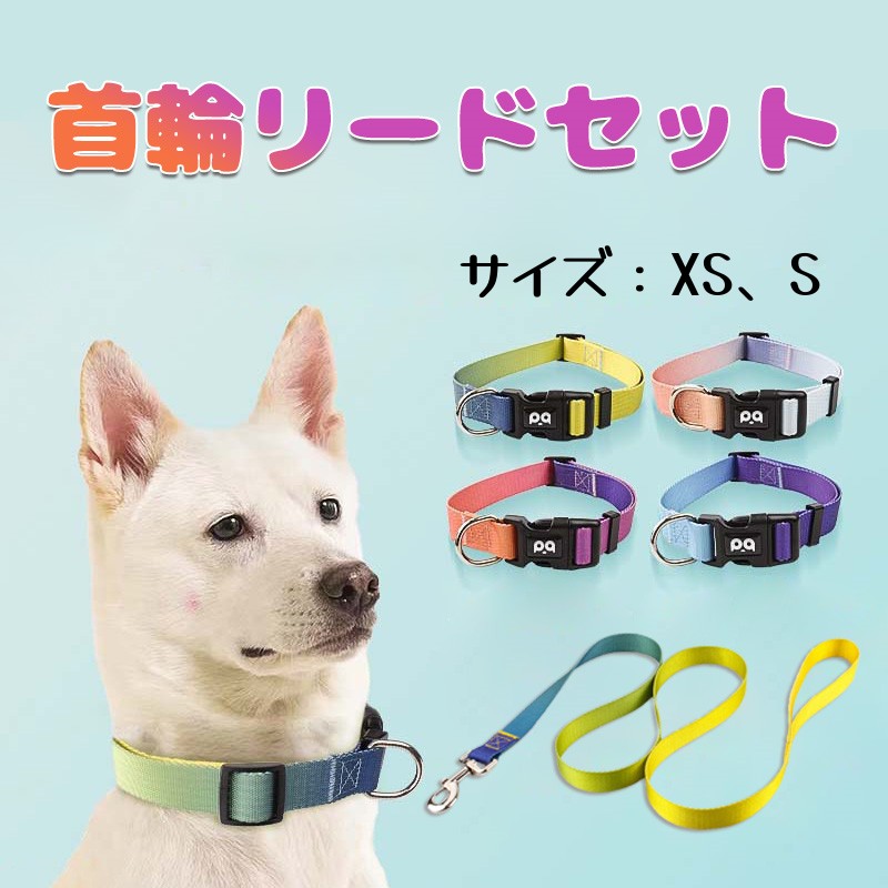 楽天市場】ダミエ柄 首輪&リード2点セット(Sサイズ/小型犬
