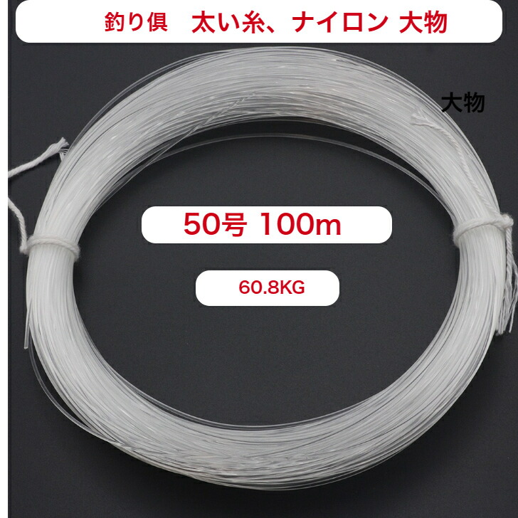 楽天市場】脇漁具・ビシヨマ ナイロン50号（50m） オモリ3号20cm