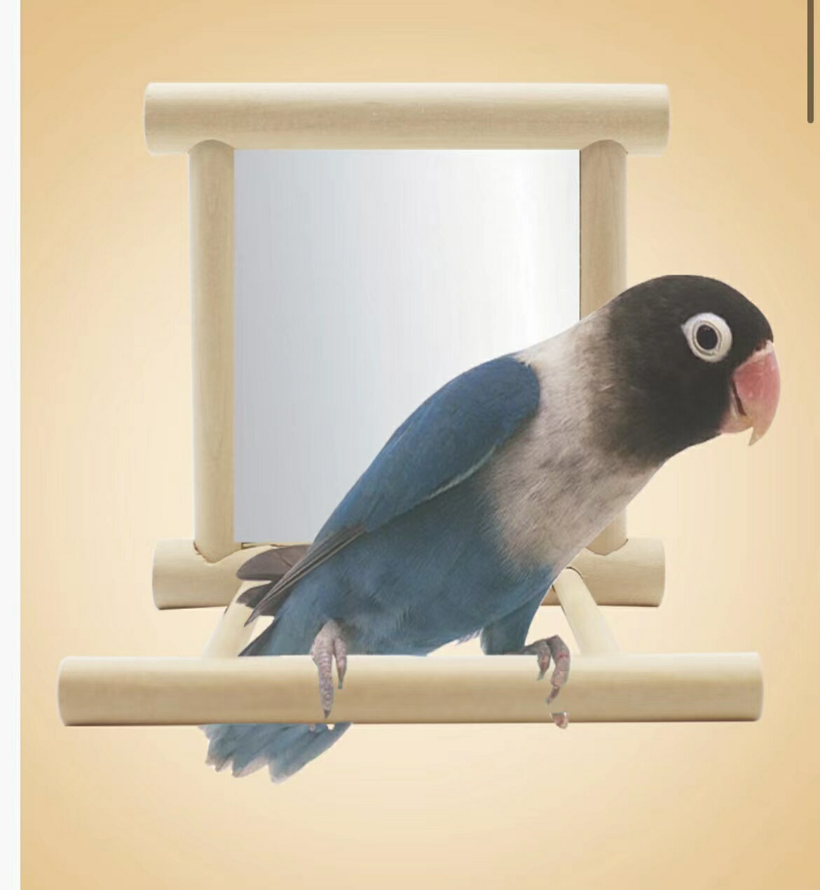 木製鳥用おもちゃ 多層構造 5点 楽天市場】鳥用品鳥用おもちゃ 天然木