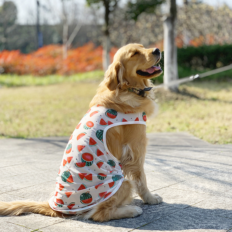 楽天市場】犬 服 春 夏 メッシュ タンクトップ スイカ すいか