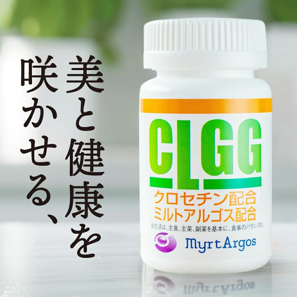 文芸批評忍従で次回10%オフ