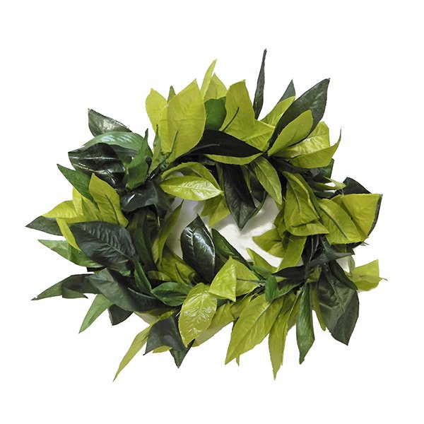 楽天市場】フラダンス衣装 レイ ハワイ 花飾り イベント フラ