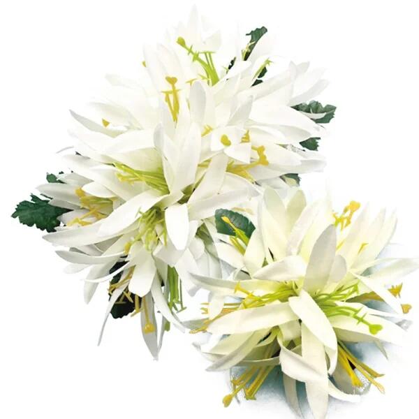 楽天市場】フラダンス衣装 髪飾り 花飾り レフア ヘアクリップ