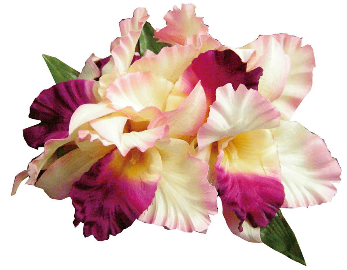 フラダンス衣装 髪飾り 花飾り カトレア ヘアクリップ レイ イベント フラ Cl 38 ラージカトレアオーキッドxlクリップ ピンク 正規販売店