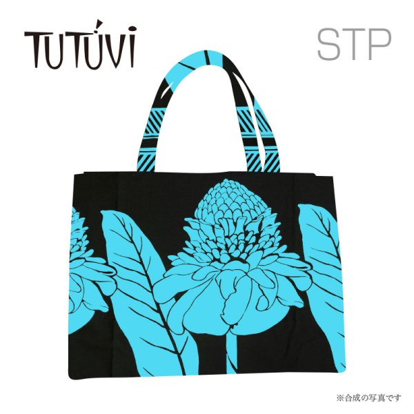 TUTUVI座標例