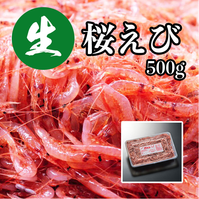 今が旬 生桜えび 500g （冷凍）▼送料無料 静岡 駿河湾産 静岡産 由比 由比港水揚げ 生さくらえび サクラエビ 桜えび 桜エビ 桜海老 刺身 軍艦巻き かき揚げ 駿河湾 お取り寄せグルメ おつまみ ギフト プレゼント 海鮮 テレビ紹介 母の日 父の日 お中元