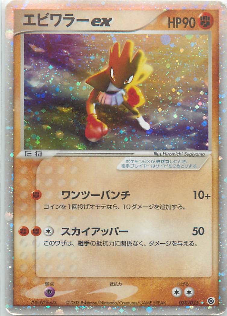 エンテイ EX SR BW 070/069 ポケモンカード sar エンテイ EX SR BW 070/069 ポケモンカード sar - メルカリ