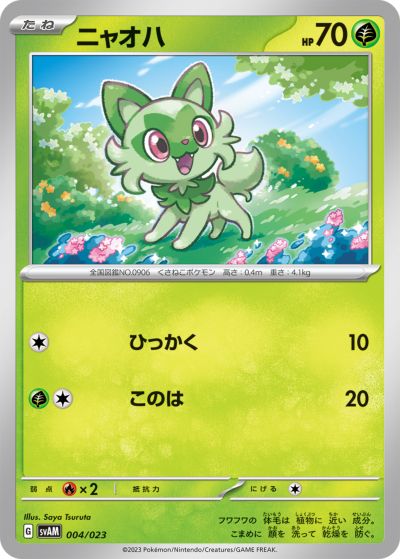 ポケモンカード　ポケモン　キラ2 Amazon.co.jp: ライチュウ（キラ）ポケモンカードゲーム B