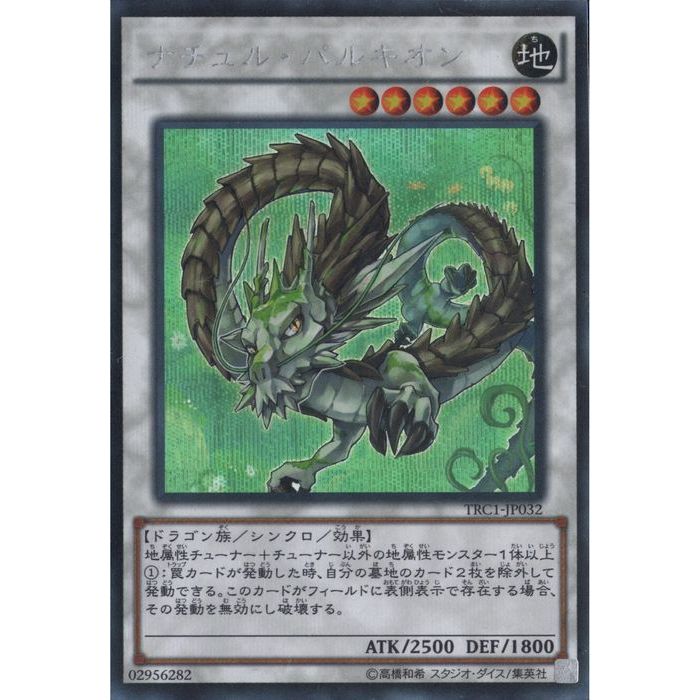 【ARS鑑定 10】ナチュルパルキオン　DTC シークレットレア　貴重！ 遊戯王】 ナチュル・パルキオン DTC2/シク の通販 - カーナベル