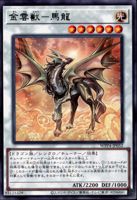 遊戯王 シンクロモンスター y-060022.jpg