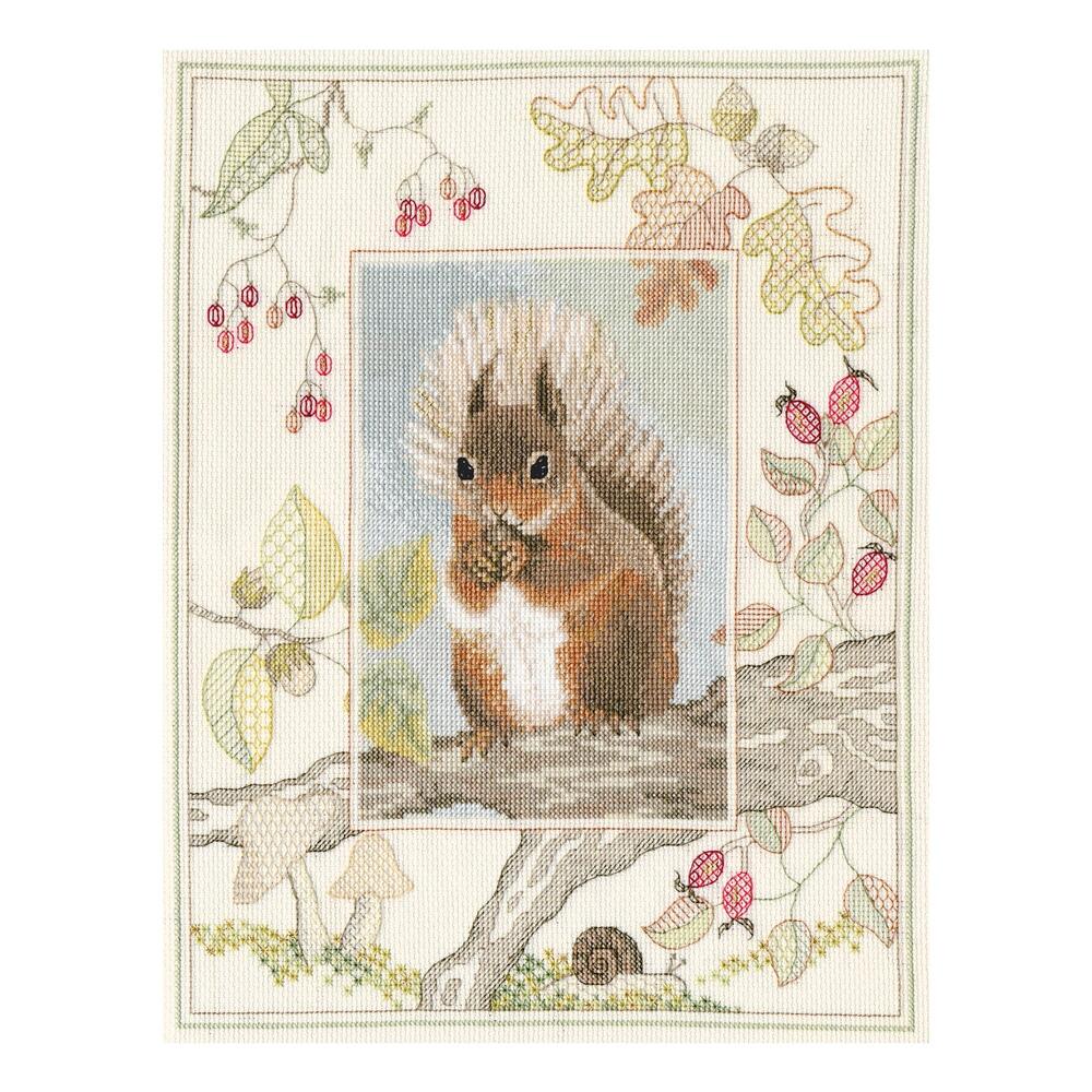 楽天市場】Bothy Threads クロスステッチ刺繍キット 「Wildlife - Red Squirrel」 (キタリス) WIL4  ボシースレッズ DERWENTWATER DESIGNS 【海外取り寄せ/納期40～80日程度】：HAND WORK とりい