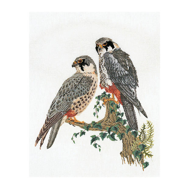 Thea Gouverneur クロスステッチ刺繍キット No.2024A 「Falcons」(布:綿アイーダ/ファルコン 隼 ハヤブサ 鳥) オランダ テア・グーヴェルヌール 【取り寄せ/納期40~80日程度】|HAND WORK とりい