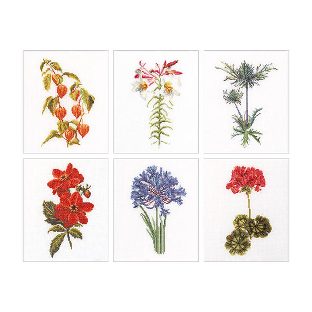 Thea Gouverneur クロスステッチ刺繍キット No.3082A 「Six Floral Studies」 布:綿アイーダ 6つの花(2) オランダ テア・グーヴェルヌール 【取り寄せ/納期40~80日程度】|HAND WORK とりい