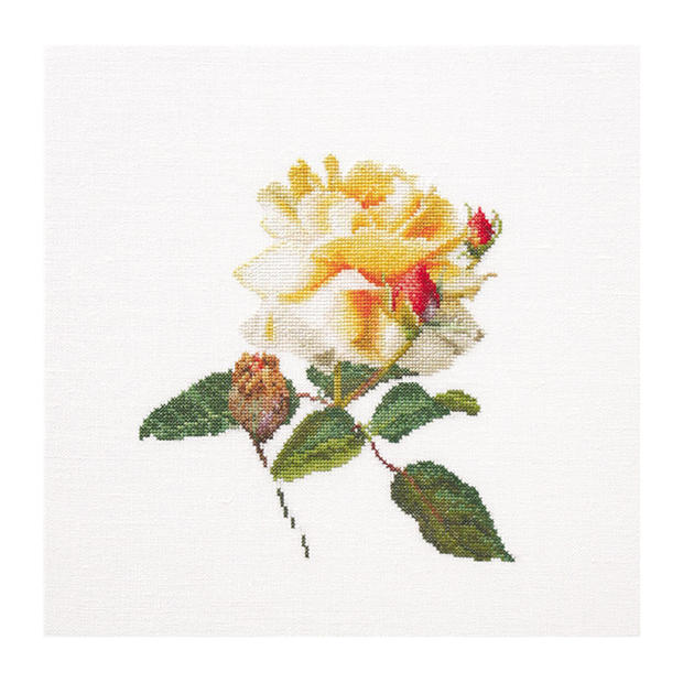 Thea Gouverneur クロスステッチ刺繍キットNo.416 「Release」(リリース バラ ローズ 花) オランダ テア・グーヴェルヌール 【取り寄せ/納期40～80日程度】