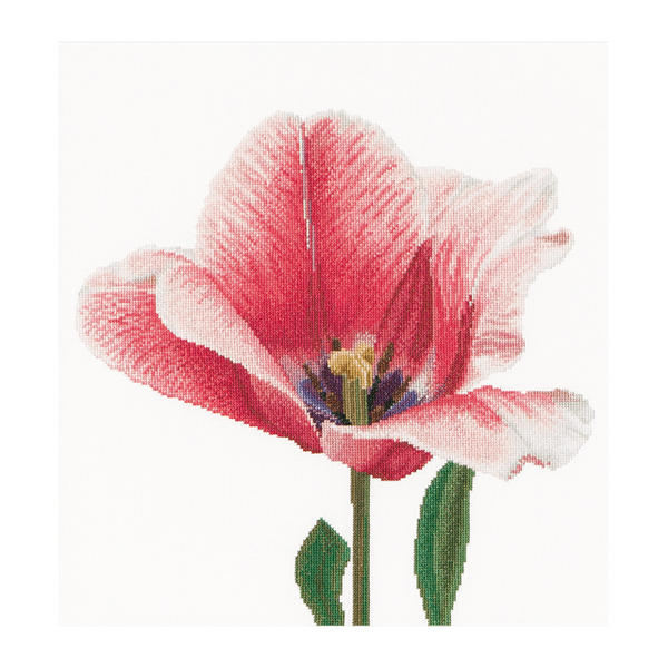 Thea Gouverneur クロスステッチ刺繍キットNo.518 「Pink Darwin hybrid tulip 」(ピンクのダーウィンハイブリッド チューリップ 花) オランダ テア・グーヴェルヌール 【取り寄せ/納期40～80日程度】