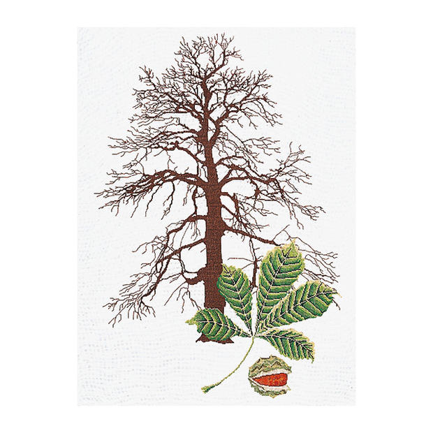 Thea Gouverneur クロスステッチ刺繍キット No.830A 「Chestnut」布:綿アイーダ (栗の実 植物 花) オランダ テア・グーヴェルヌール 【取り寄せ/納期40~80日程度】|HAND WORK とりい