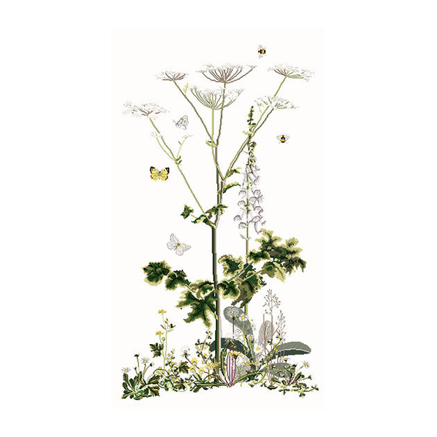 Thea Gouverneur クロスステッチ刺繍キット No.967L 「Heracleum Sibericum」布：リネン  (ハナウド 花) オランダ テア・グーヴェルヌール 【取り寄せ/納期40～80日程度】