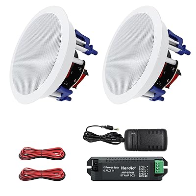 300W Bluetooth 上昇限度埋め込み型金棒引き 2通い路/ラウンド型/1本 白いこと 18.5糎 8Ω 上昇限度金棒引き