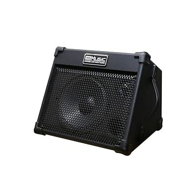 BP40D 充電式アコースティック ギターアンプ エレキギター アンプ Amazon.com: Coolmusic BP40D Powered Acoustic Guitar Amplifier
