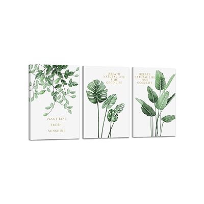 草木 見晴らし画 絵図 緑の葉 かざり付ける画 草木かざり付ける 南国 室内装飾 花の貼り出し 御部屋飾りつけ 絵図 気取らない 壁画 風呂 仕合わせ 入り口・入口 絵図 木枠付き添い人の為し遂げる品 かざり付ける 軽んじてて取り付け分かりやすい (30x40cmx3Pcs)