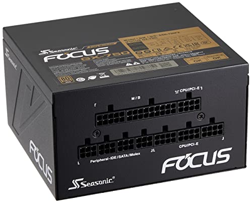 【中古】オウルテック Seasonic製 ATXワット数 850W 80PLUS GOLD公証 フルモジュラー 変わり種気違い抑えつける 120粍 FDB気違い積み上げる FOCUS GX S 10年次長期間取り替えっこ引き受ける FOCUS-GX-850S