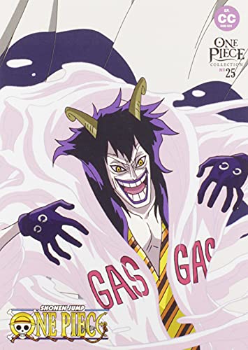 【中古】One Piece: Collection 25 [DVD]画像