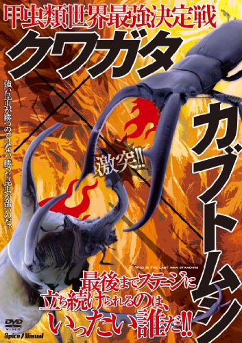 【中古】甲虫類世界最強決定戦 クワガタ×カブトムシ [DVD]