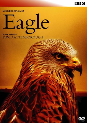 【中古】BBCワイルド・ライフ ワシ 空の支配者 [DVD]
