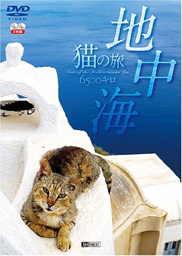 【中古】シンフォレストDVD 地中海・猫の旅6500キロ【２枚組】