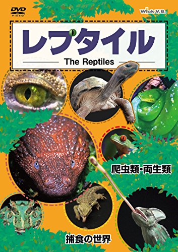 【中古】レプタイルDVD ~爬虫類・両生類/捕食の世界